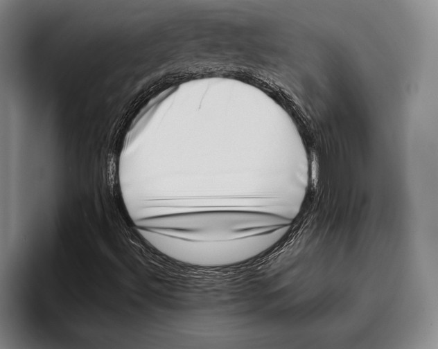 X0000096131492200802151303