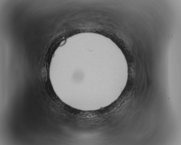 X0000096131493200802151303