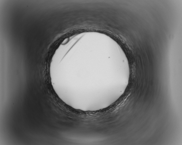X0000096131494200802151303