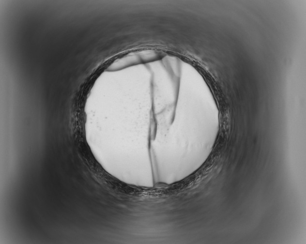 X0000096131496200802151303