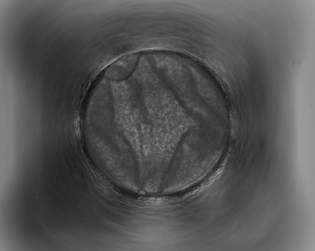 X0000096131497200802151303