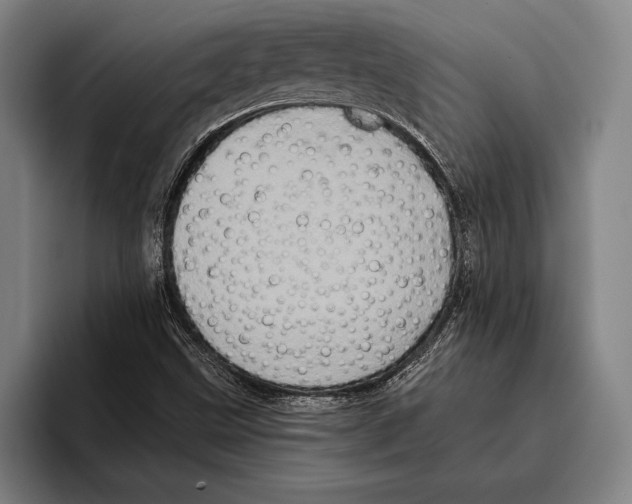 X0000096131499200802151303