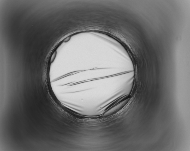 X0000096131500200802151303