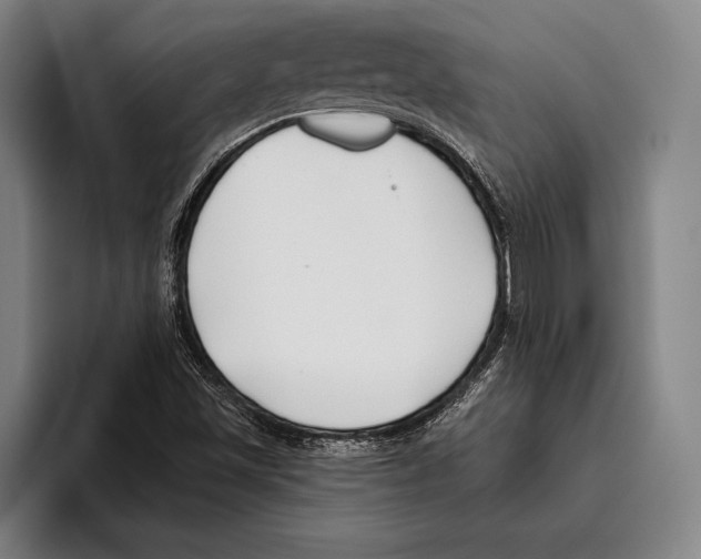 X0000096131501200802151303