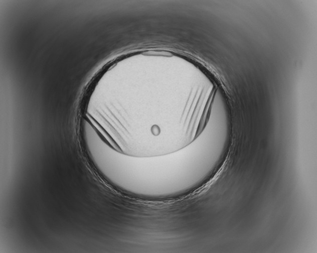 X0000096131502200802151303