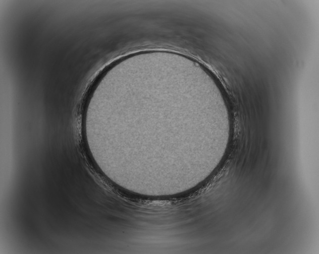 X0000096131503200802151303