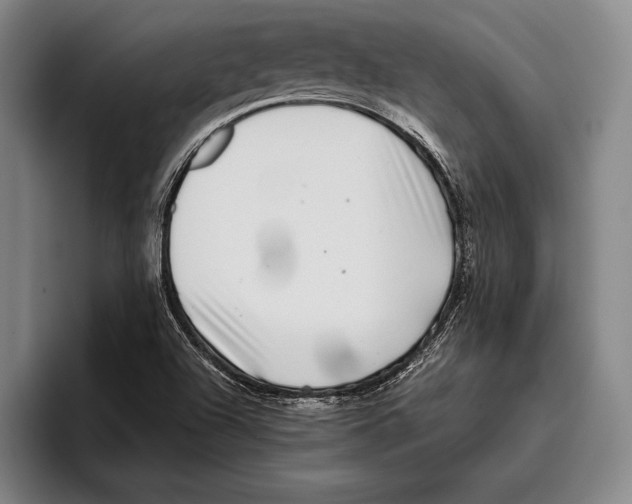 X0000096131504200802151303