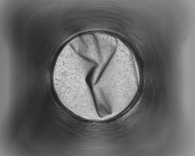 X0000096131505200802151303