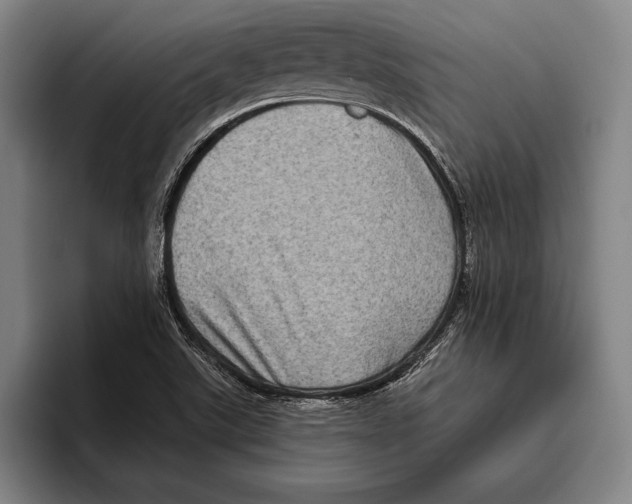 X0000096131507200802151303