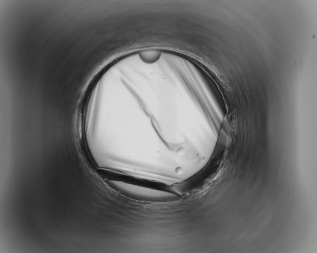 X0000096131510200802151303