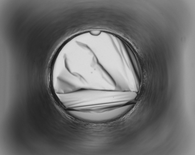 X0000096131511200802151303