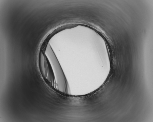 X0000096131512200802151303