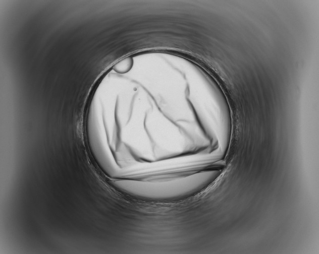 X0000096131513200802151303