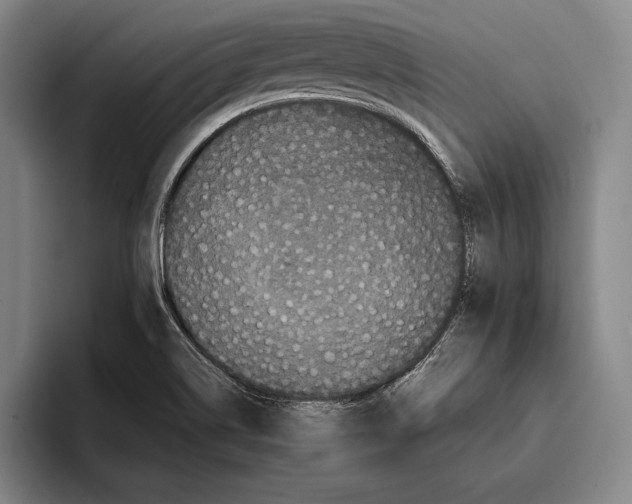 X0000096131514200802151303