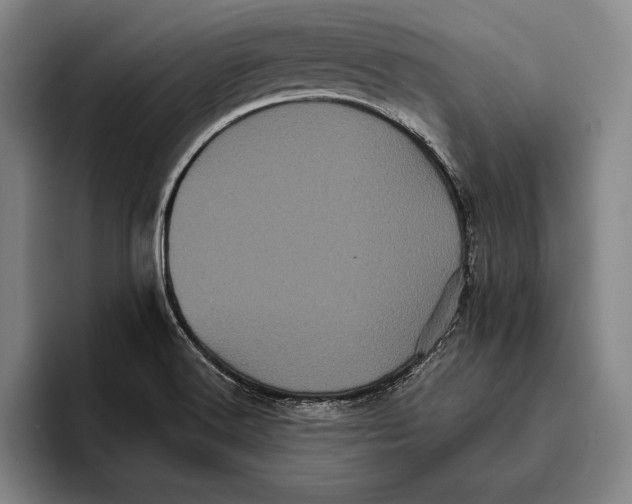 X0000096131516200802151303