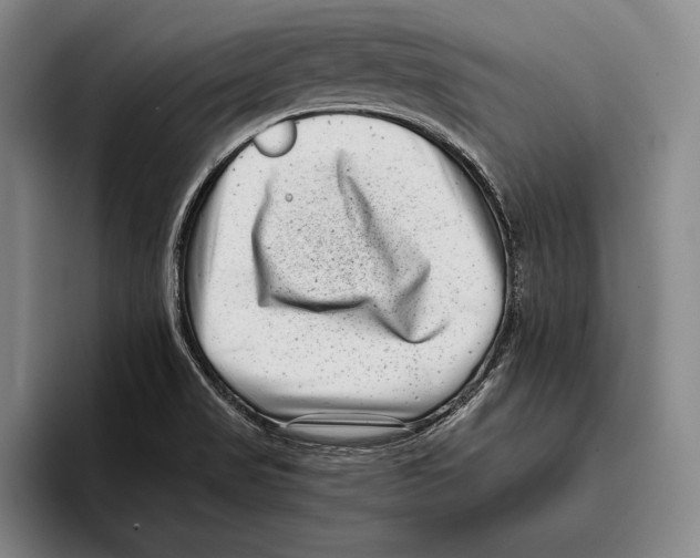 X0000096131517200802151303