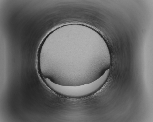 X0000096131518200802151303