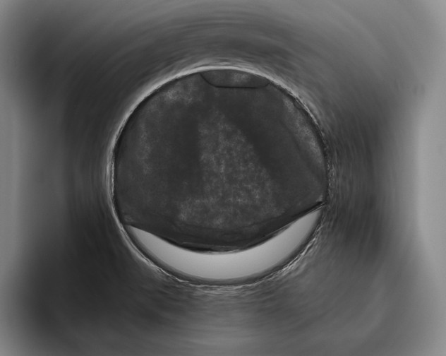 X0000096131519200802151303