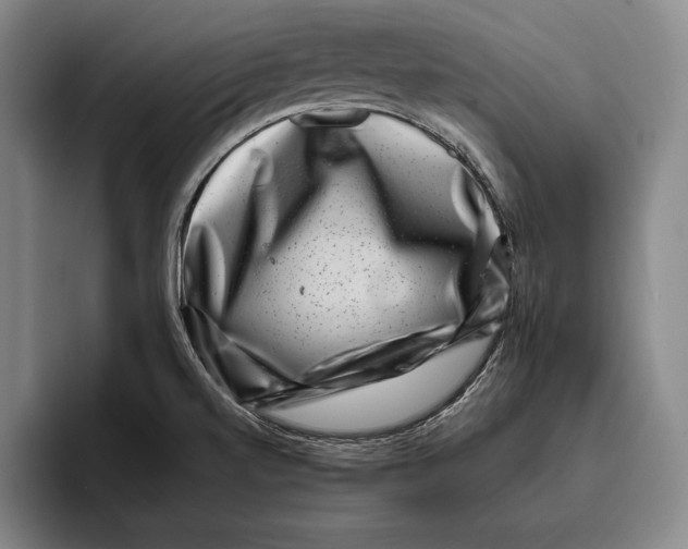 X0000096131520200802151303
