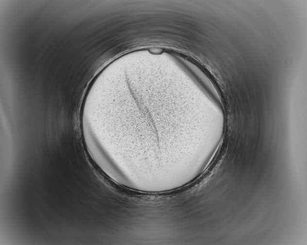 X0000096131521200802151303