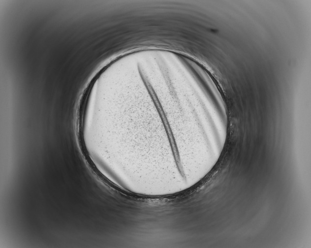 X0000096131523200802151303