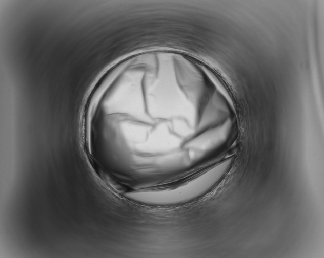 X0000096131524200802151304
