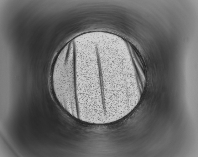 X0000096131525200802151304