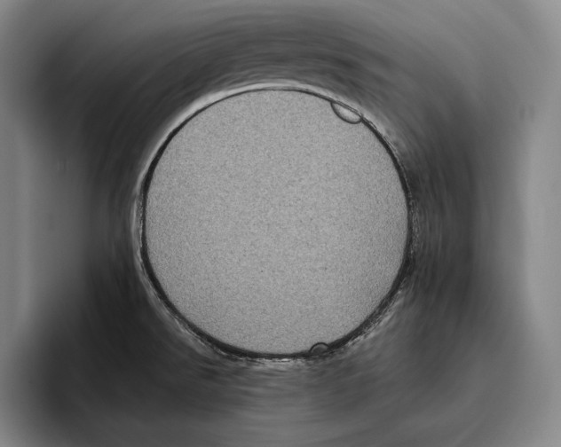 X0000096131526200802151304
