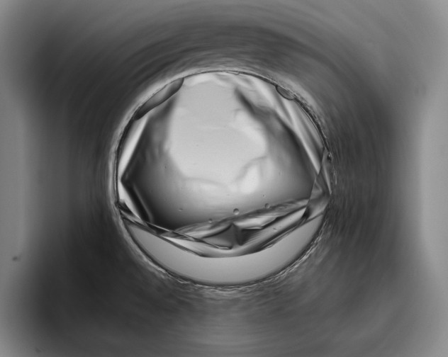 X0000096131528200802151304
