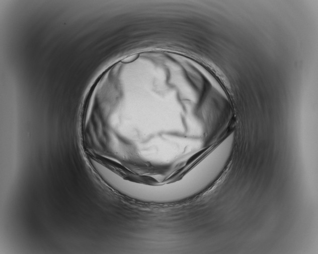 X0000096131530200802151304