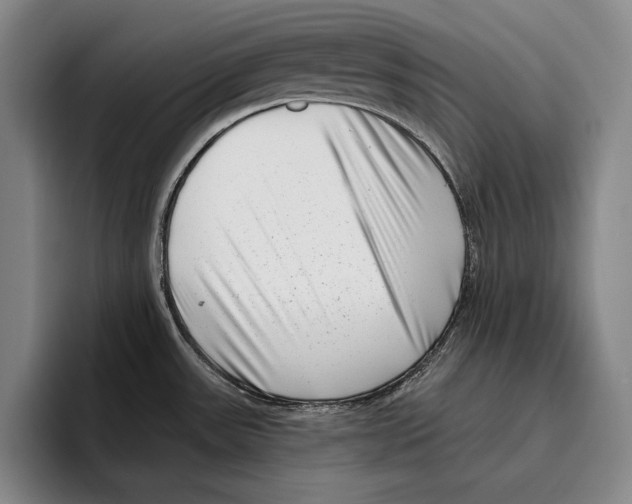X0000096131531200802151304