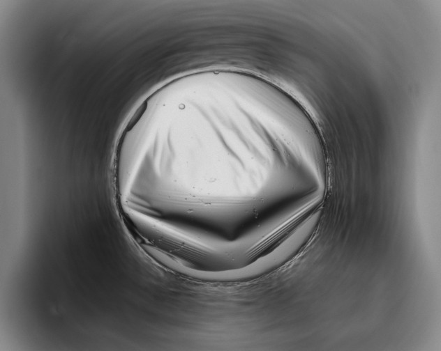 X0000096131532200802151304