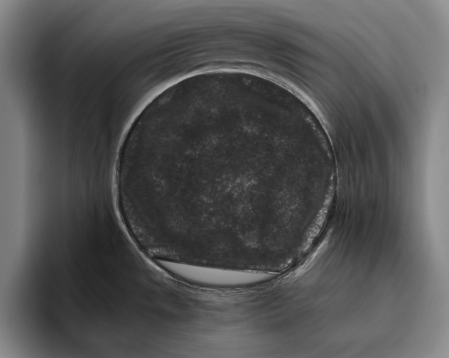 X0000096131533200802151304
