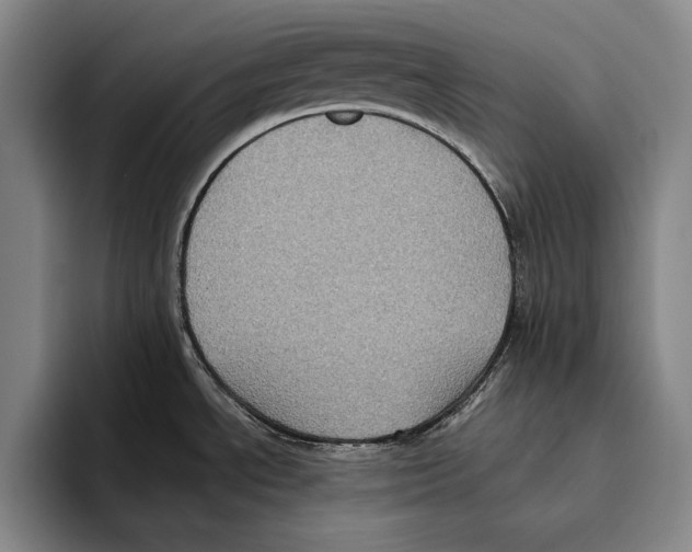X0000096131534200802151304