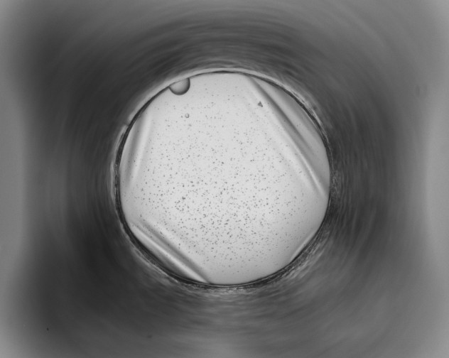 X0000096131535200802151304
