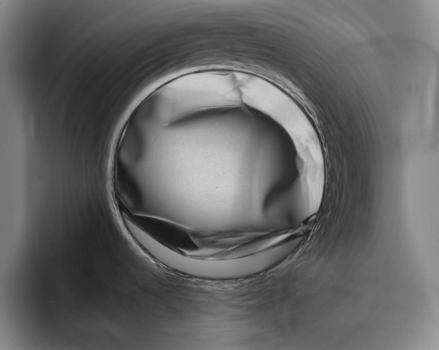 X0000096131536200802151304