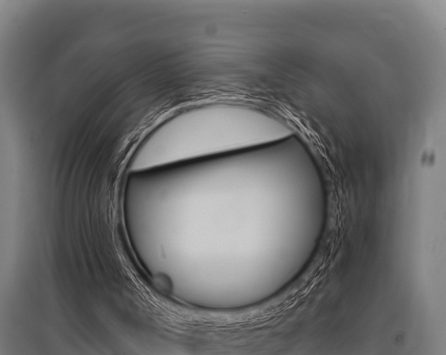 X0000096140002200801180902
