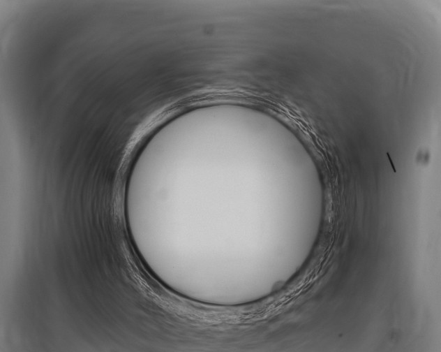 X0000096140004200801180902
