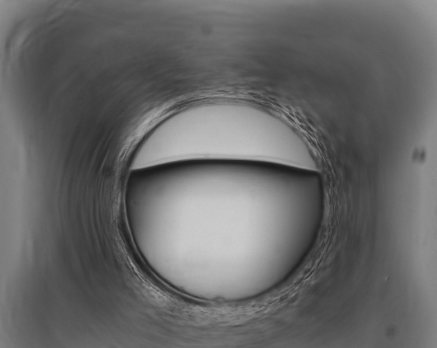 X0000096140005200801180902