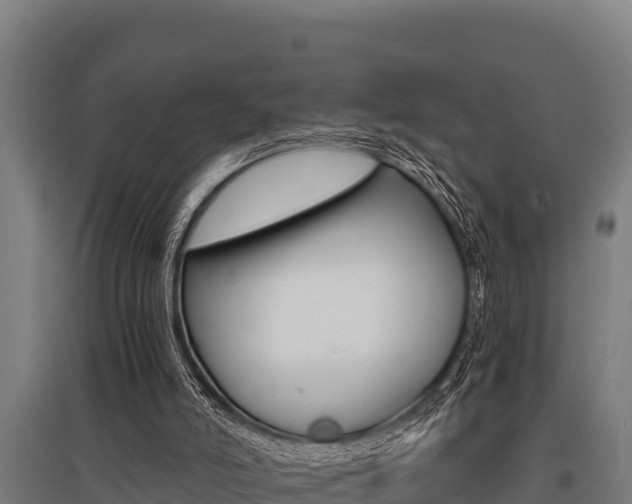 X0000096140006200801180902