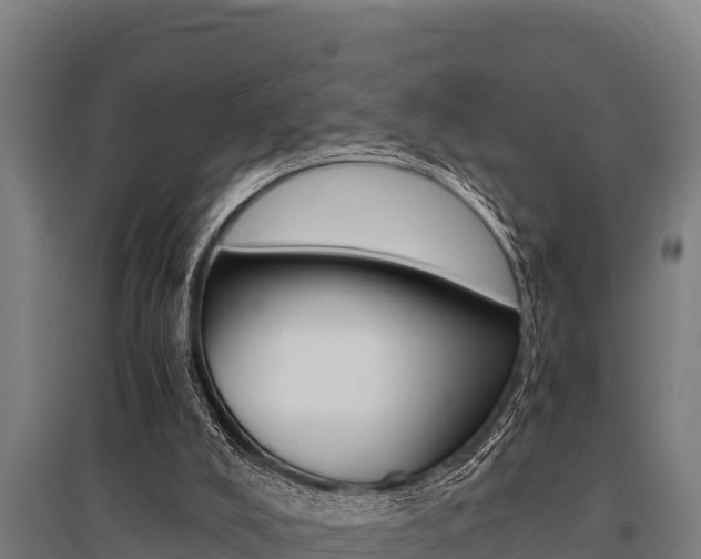 X0000096140008200801180902