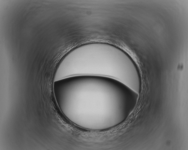 X0000096140009200801180902