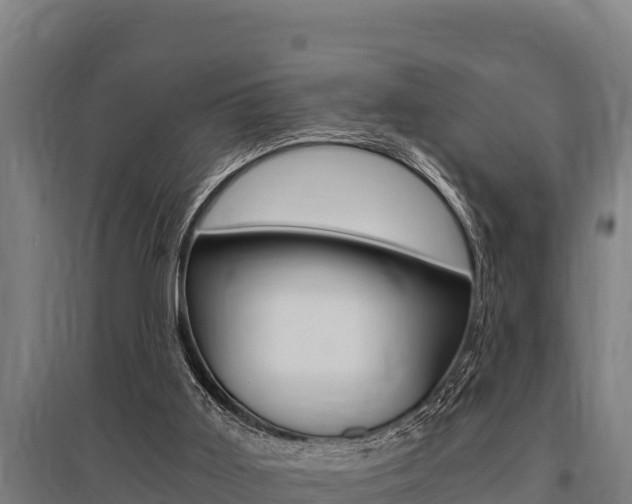 X0000096140011200801180902