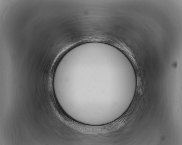 X0000096140012200801180902