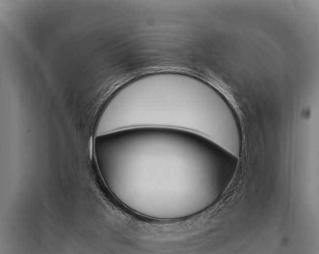 X0000096140013200801180902