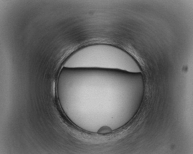X0000096140014200801180902