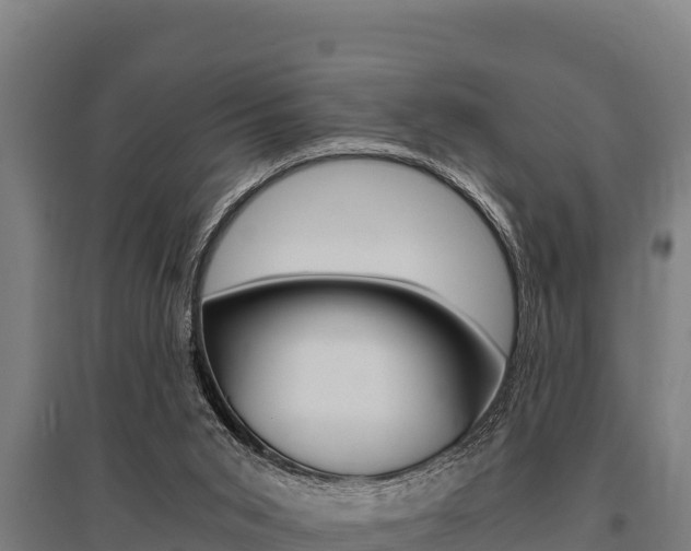 X0000096140015200801180902