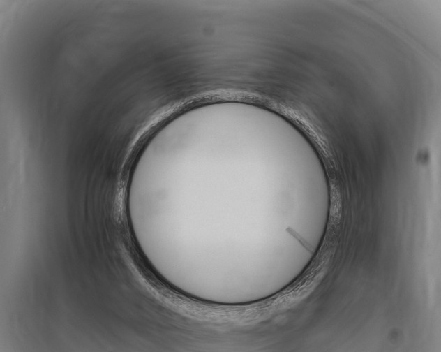 X0000096140016200801180902