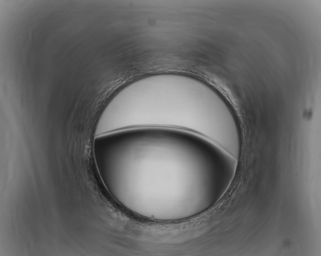 X0000096140017200801180902