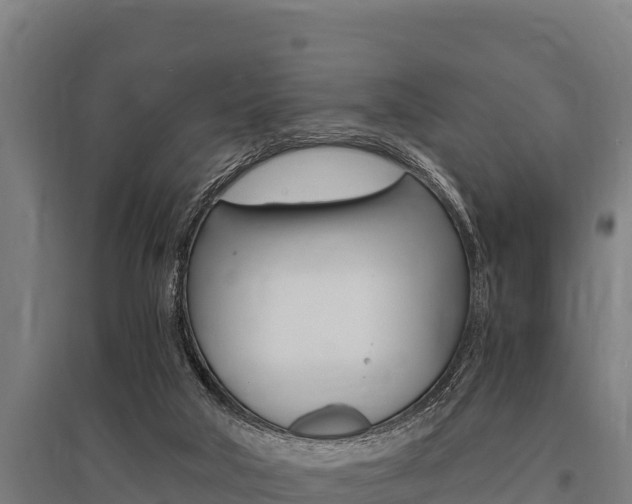 X0000096140018200801180902